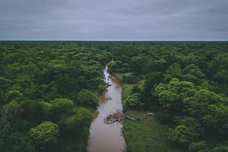 🌿 CAMINO DE LOS SABIOS DEL MONTE