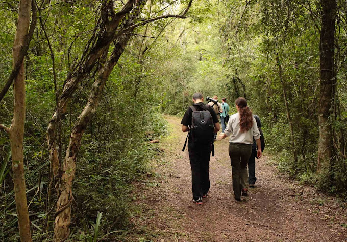 Turismo holístico. Los sabios del Monte